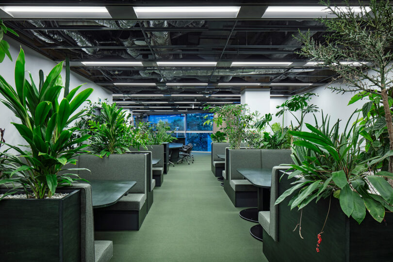 Green booth-style seating in a modern office lined with lush indoor plants and natural light from large windows.