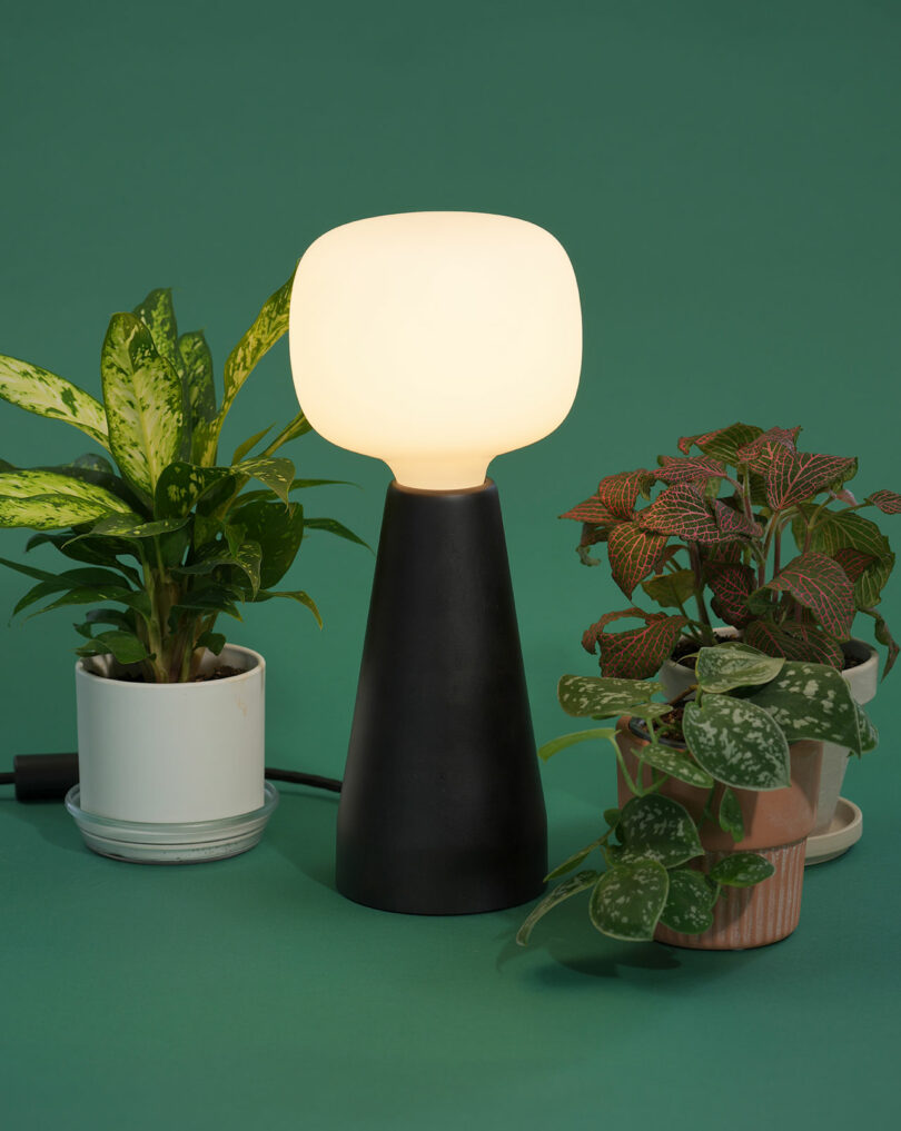 A Soltech table lamp glowing with warm light positioned between two lush green plants.