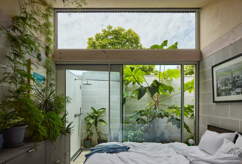 A bedroom with concrete walls and large glass doors opening directly onto a lush green outdoor courtyard.