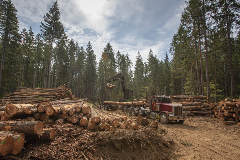 A logging site with stacked logs and a red truck in a forest clearing, representing the sourcing for the PDX project.