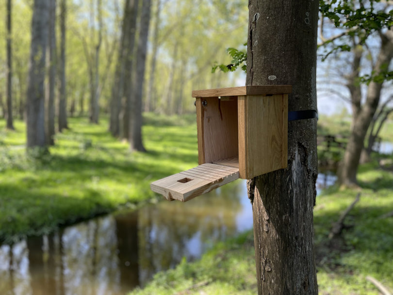 A modern oak birdhouse attached to a tree with the front panel partially open.