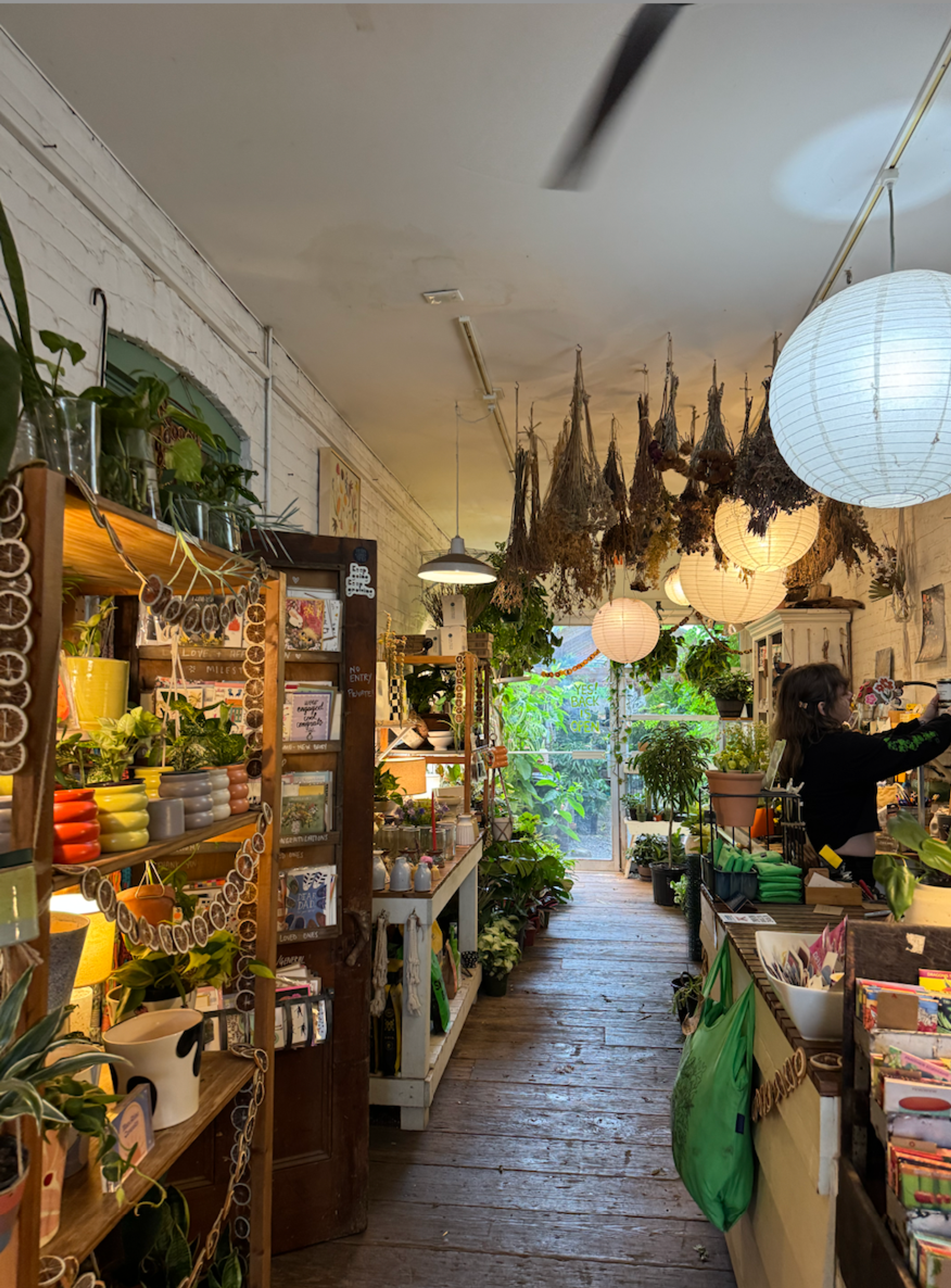 The interior of a brightly lit boutique with curated home goods and plants.