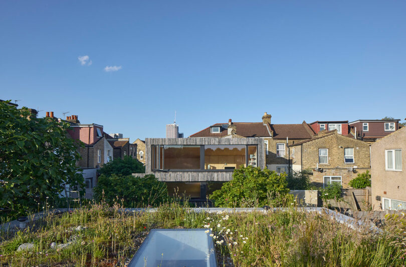 A modern home with a wooden facade and large windows situated among traditional London brick buildings, viewed from a rooftop.