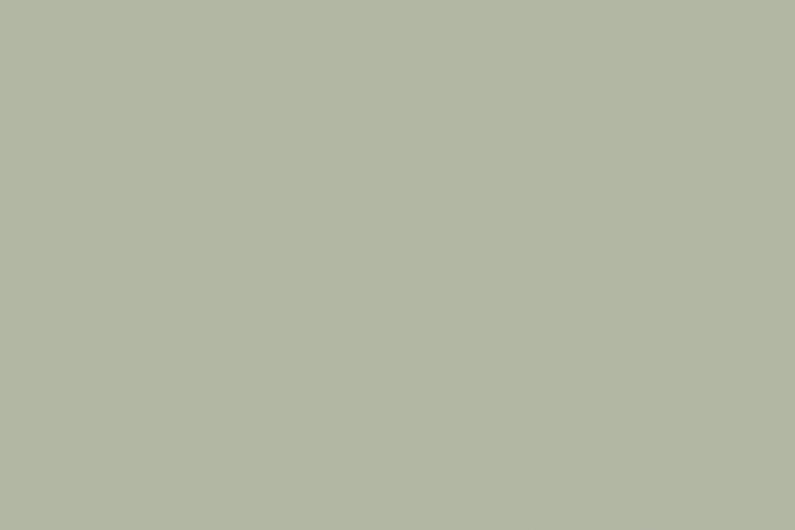 Bedroom walls painted in Benjamin Moore Saybrook Sage with white crown molding.